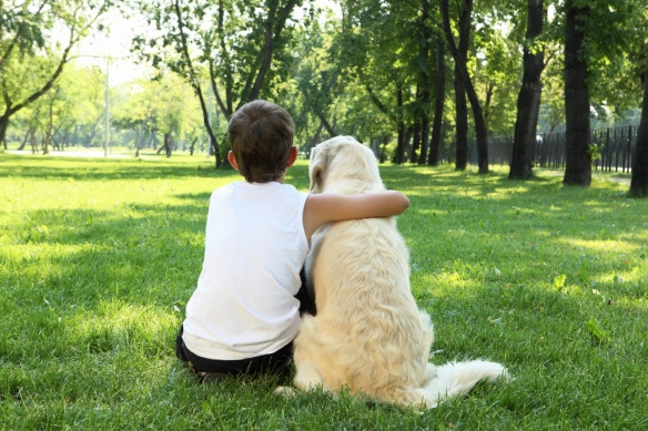Dog and Boy in Park